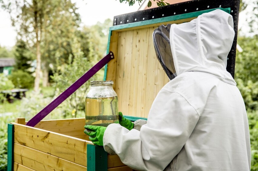 С приходом осени пчелы отказываются брать сироп: что делать?