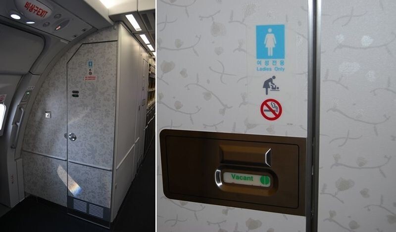 Стюардесса раскрыла тайну «туалетной кнопки» в самолете