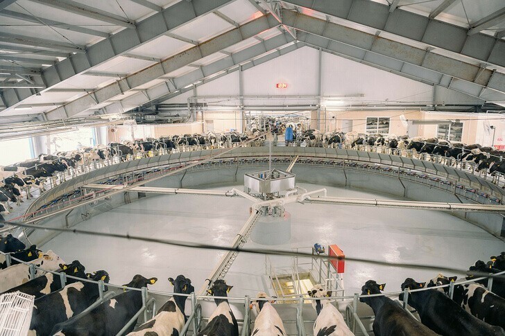В Пензенской области завершен проект создания молочного комплекса на 7200 голов дойного стада