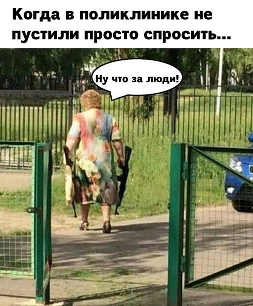 Смешные и познавательные картинки