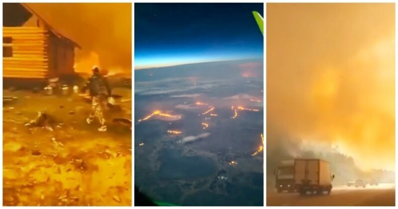 Рекордная жара и рекордные пожары: чего ждать дальше