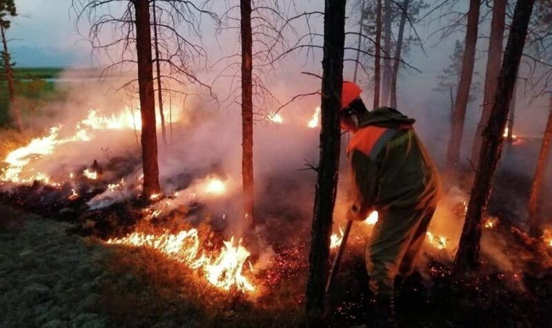 Рекордная жара и рекордные пожары: чего ждать дальше
