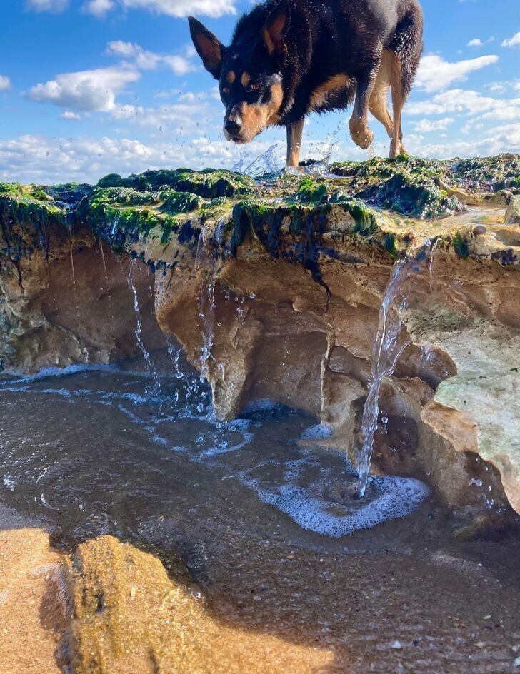 Кажется, что на фото гигантская собака на водопаде - но на деле это всего лишь яма на пляже