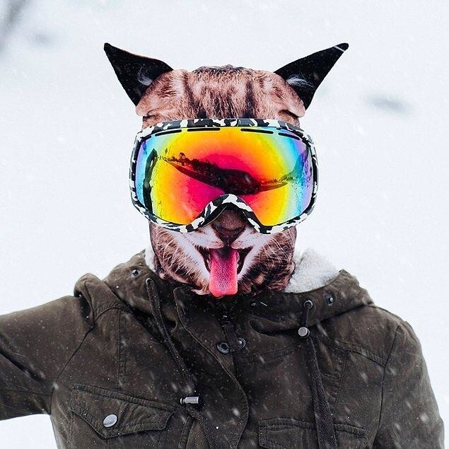 Лыжная маска в виде котика