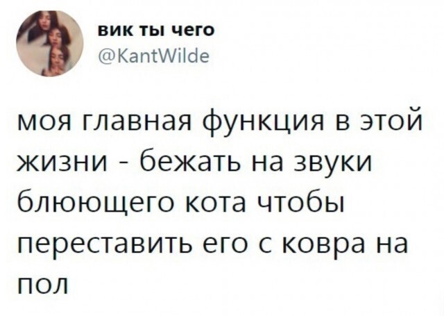 Свежая порция смешных высказываний, Смс-диалогов и комментариев из социальных сетей