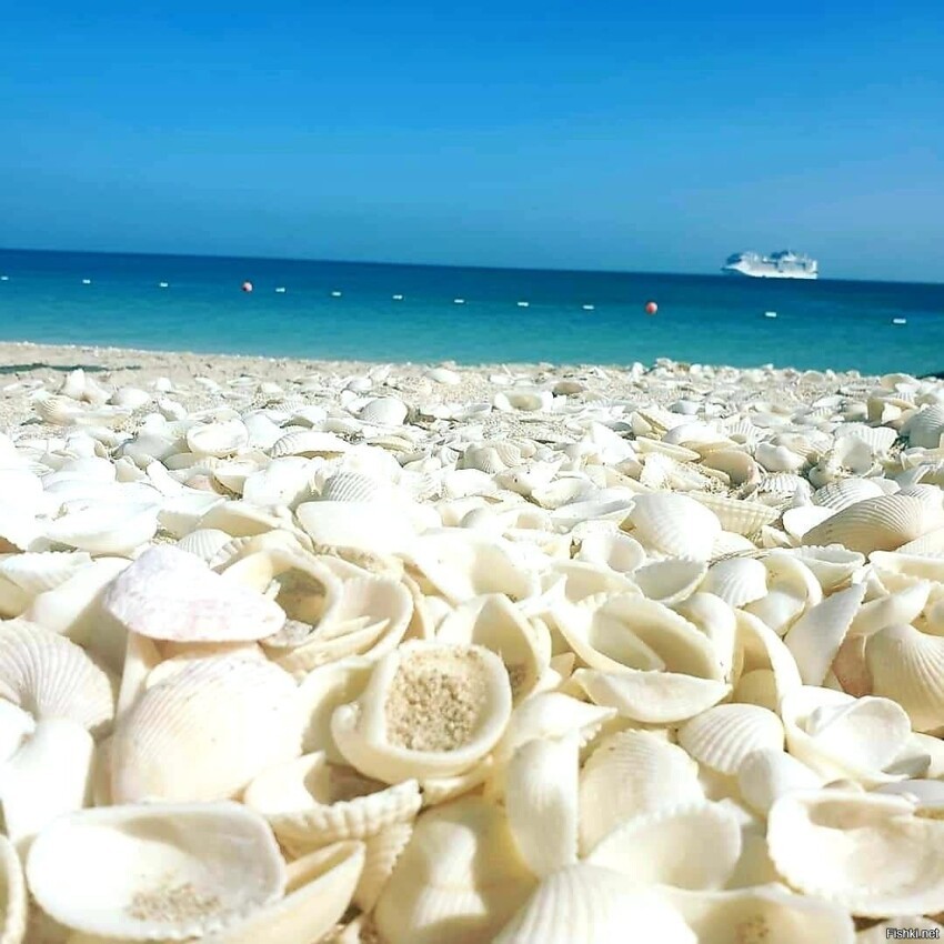 Пляж острова Сир-Бани-Яс