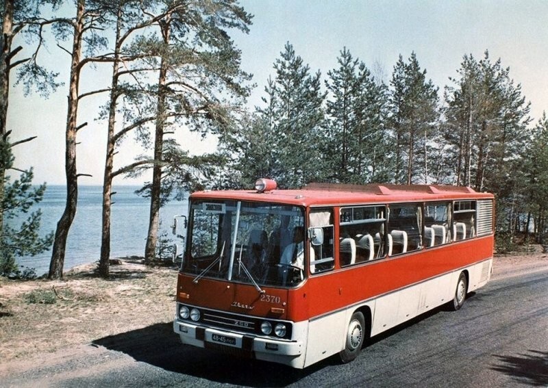 «Икарус» в СССР: сколько, по какой цене и зачем закупали венгерские автобусы