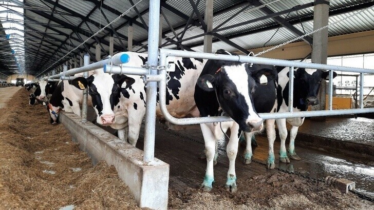 В Рязанской области открыта вторая очередь молочного комплекса «Вакинское Агро»