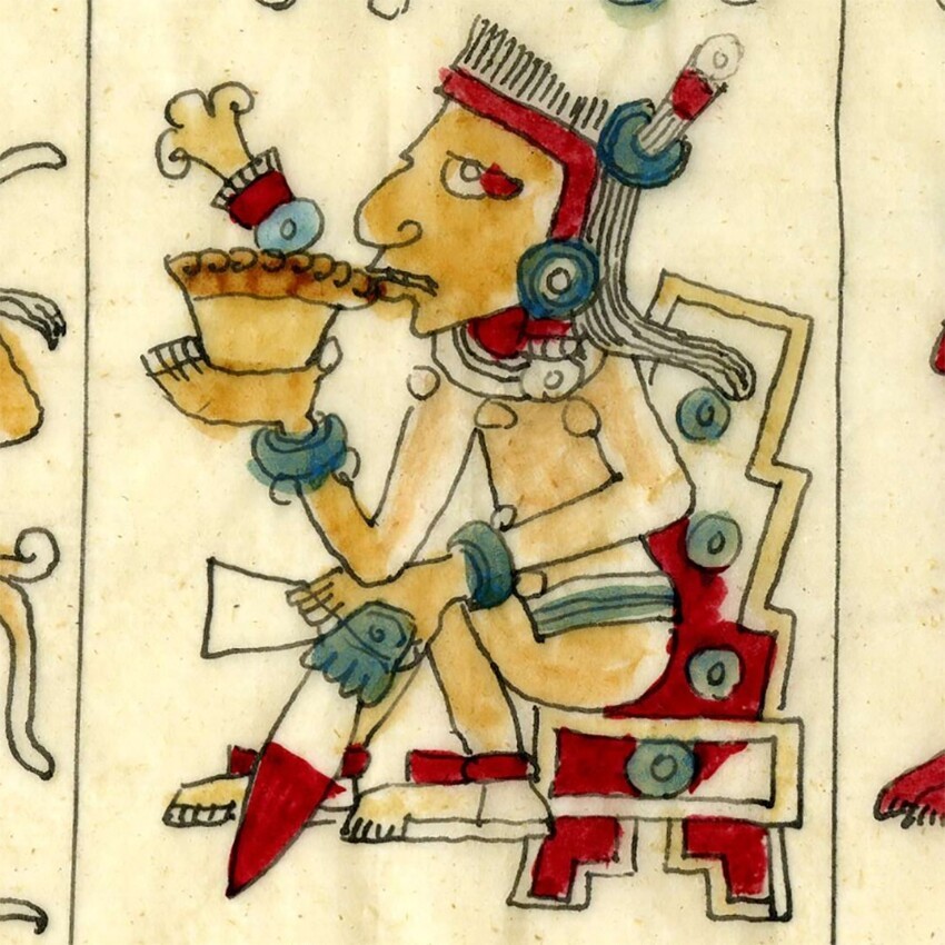 Пенный напиток Мезоамерики: Как пили какао ольмеки, майя, ацтеки, миштеки и сапотеки