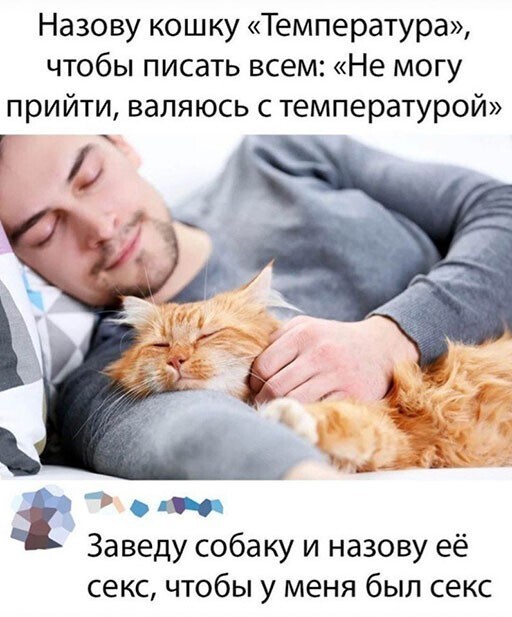 Смешные и познавательные картинки