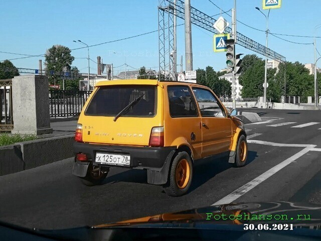 Автовсячина