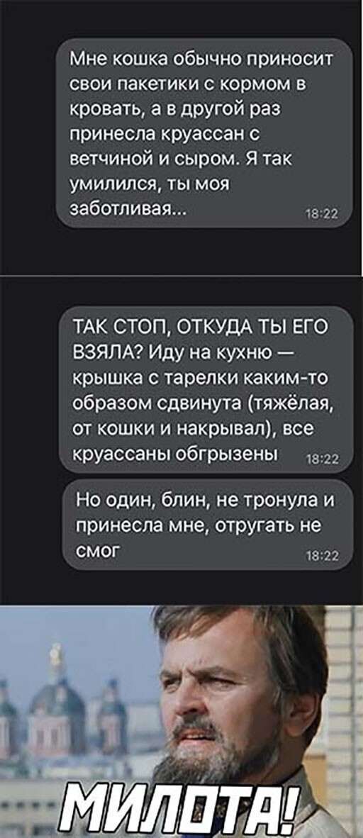 Смешные и познавательные картинки