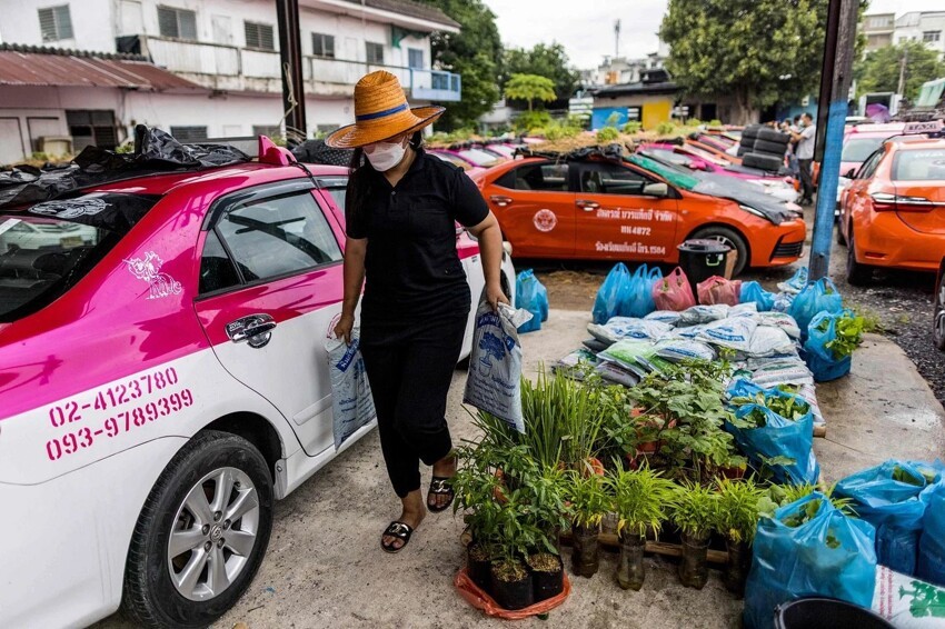 Такси тайцы. Тайский таксист. Такси в Тайланде. Таксисты в Тайланде выращивают.