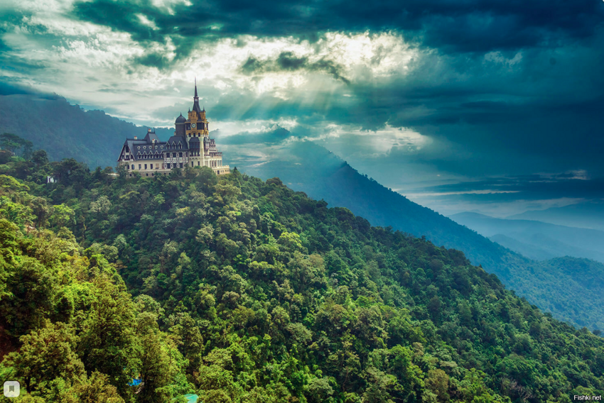 Там Дао,Вьетнам