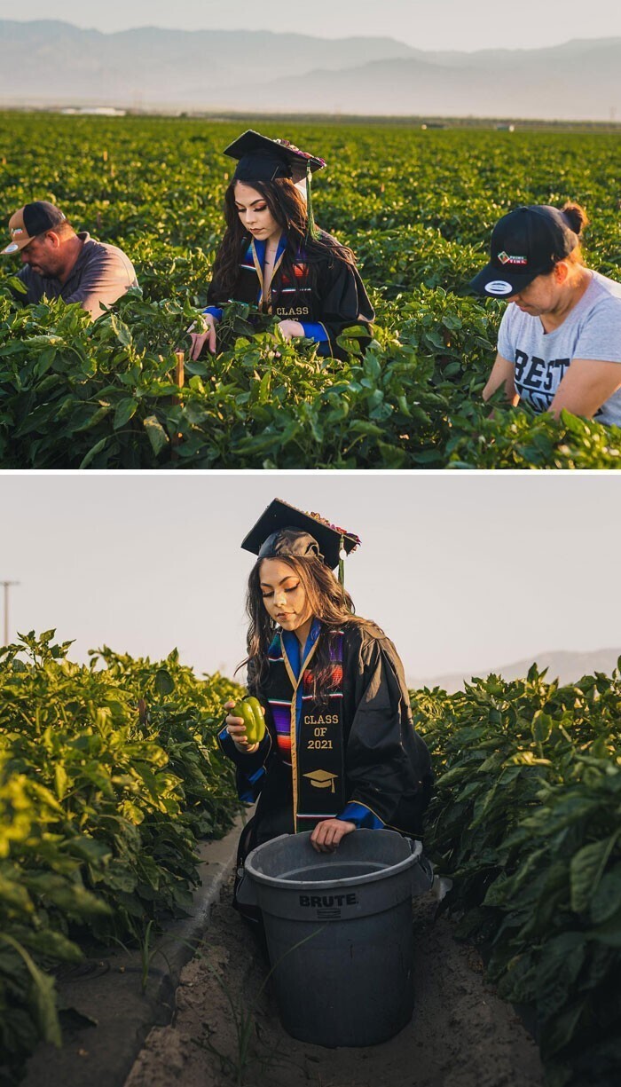 Девушка сделала выпускные фото в поле, где годами работают ее родители-иммигранты