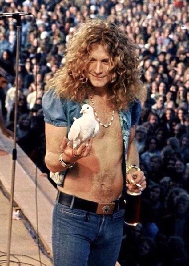 Роберт Плант из Led Zeppelin, держит голубку, которая села на его руку во время концерта в 1973 году
