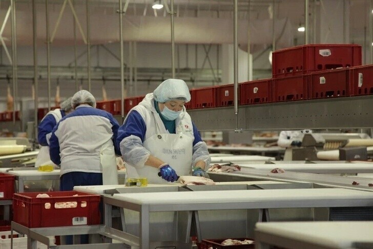 В Челябинске открыт новый логистический центр для замороженной продукции