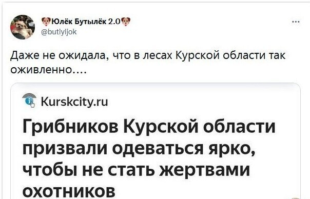 Дневная новостная полит. информация
