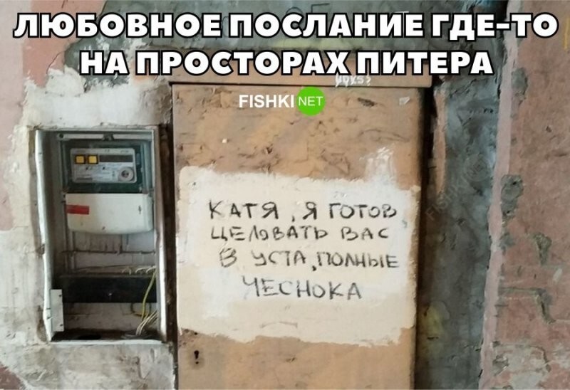 Смешные и познавательные картинки