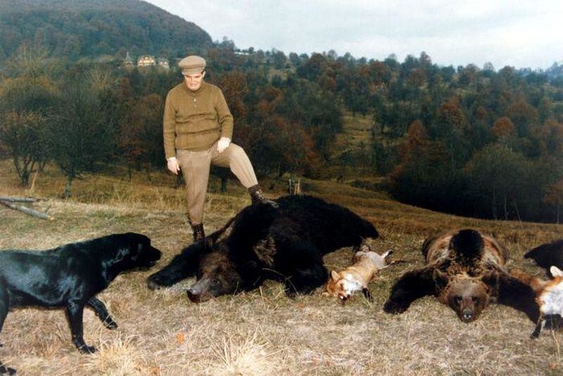 Медведь для товарища Чаушеску