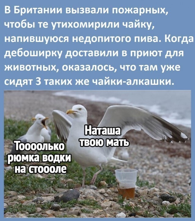 Калейдоскоп политических новостей с нотками стёба. Выпуск 10