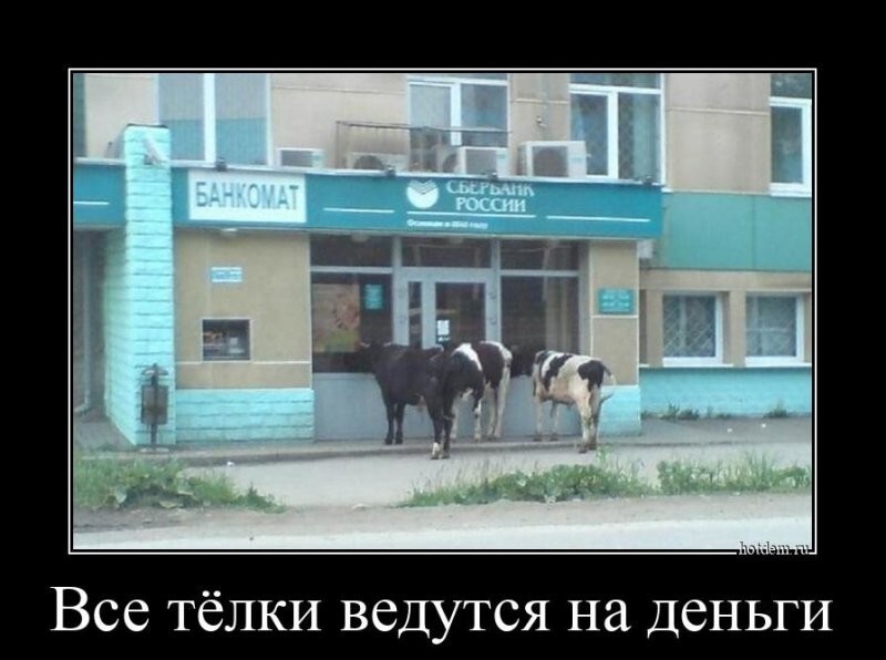 Все тёлки ведутся на деньги