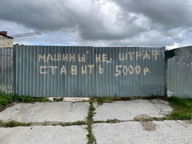 Автовсячина