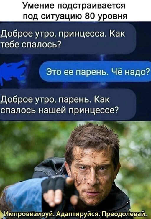 Смешные и познавательные картинки