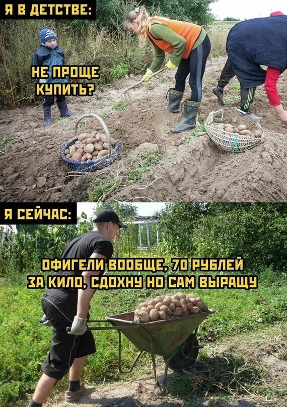 Немного о политике и свежей русофобии