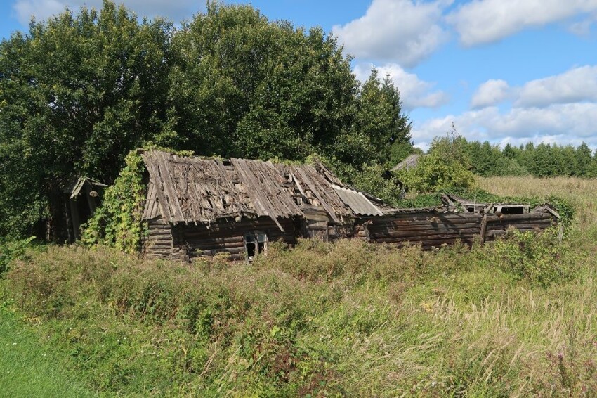 Крайний дом в деревне