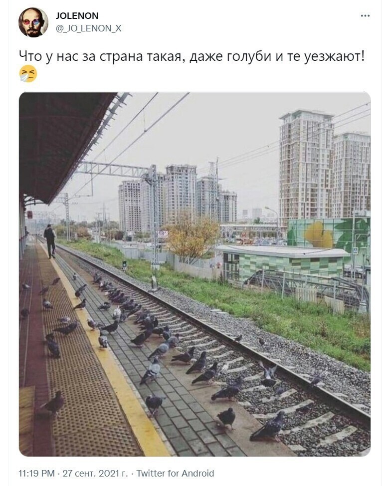 О политике и только