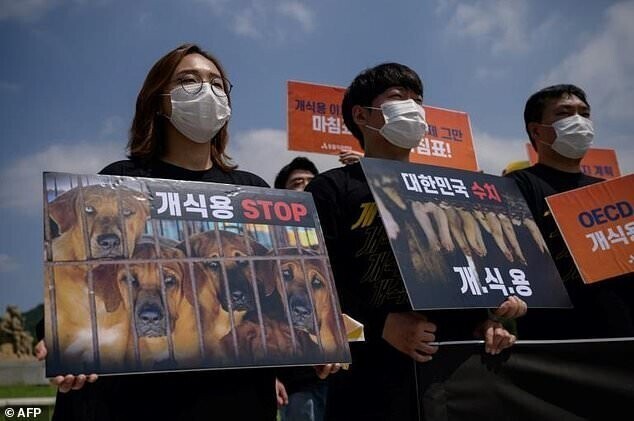 Президент Южной Кореи призвал соотечественников отказаться от собачатины