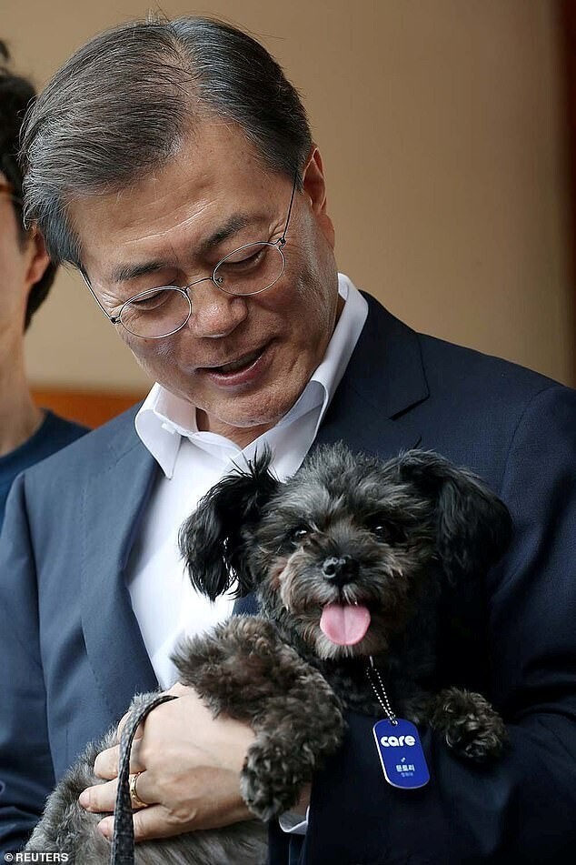 Президент Южной Кореи призвал соотечественников отказаться от собачатины