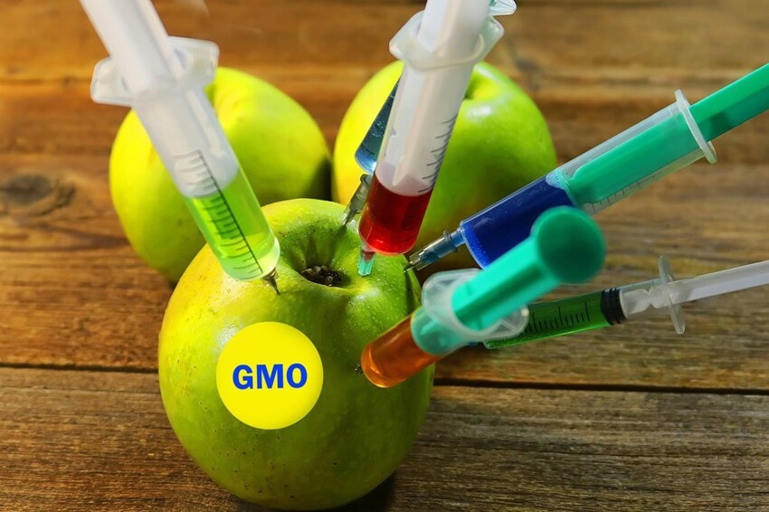  ГМО — что это такое