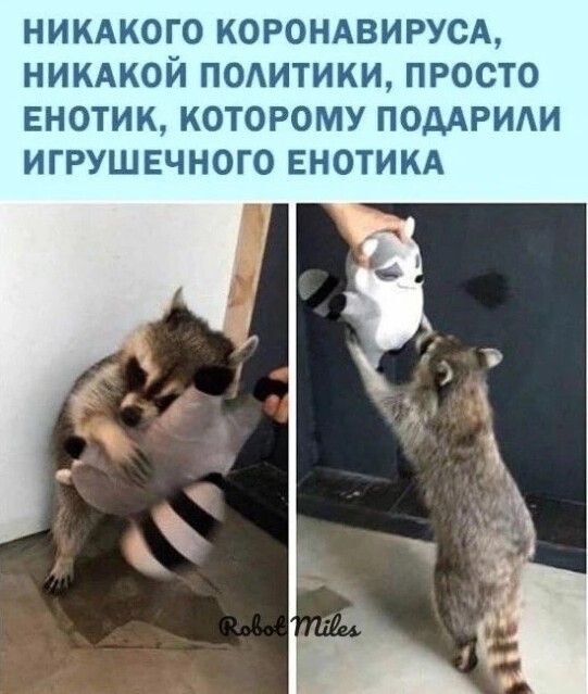 Утренний блок политических новостей