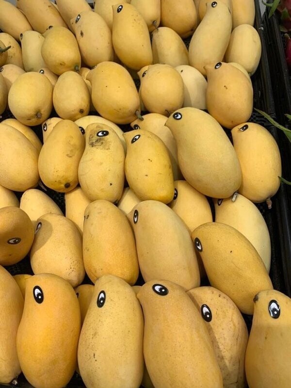 "Наш супермаркет украсил манго наклейками - и теперь они похожи на стаю птиц!"