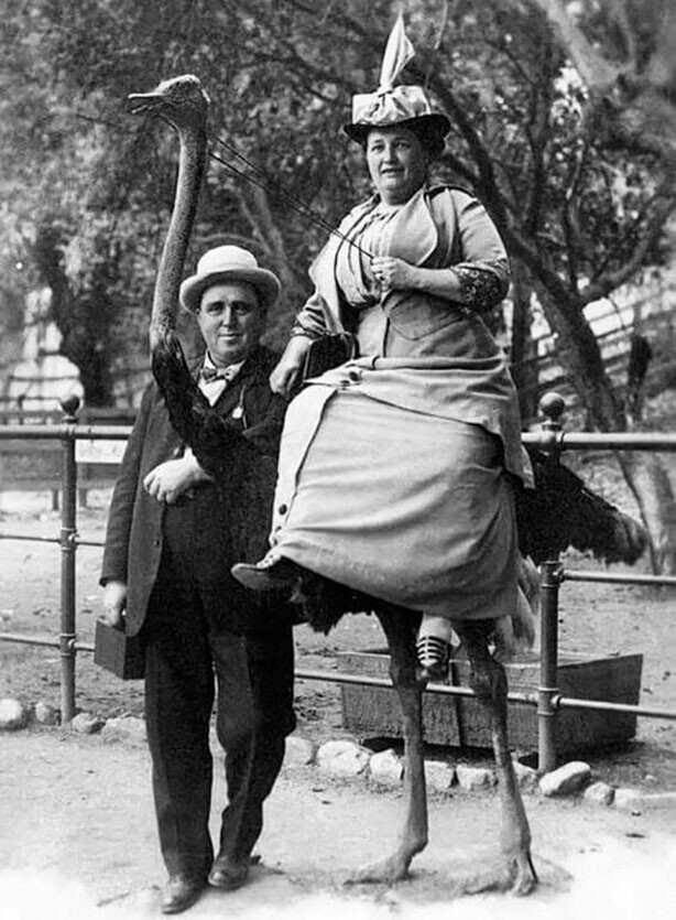 Француженка верхом на страусе в предместьях Парижа, 1910 год