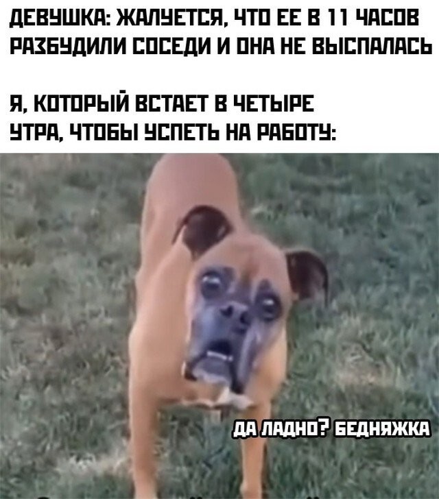 Намешалось