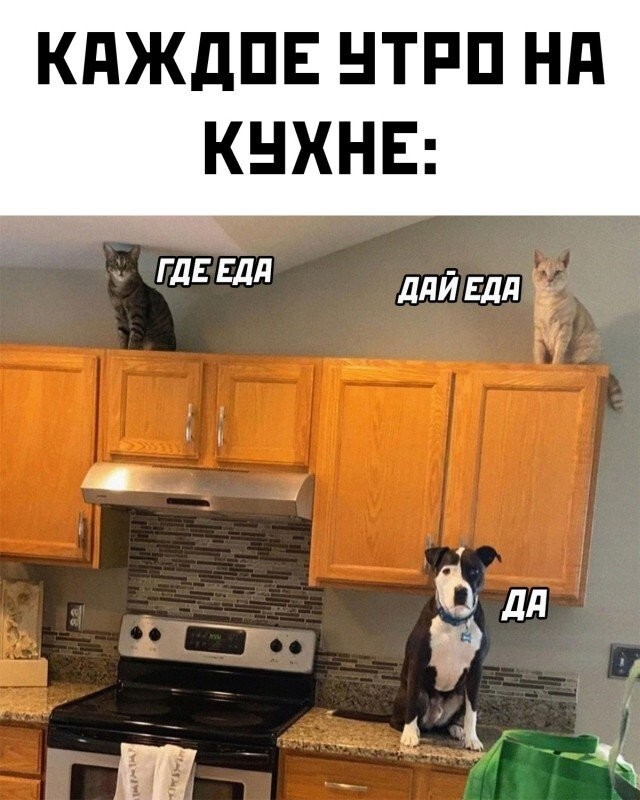 Намешалось