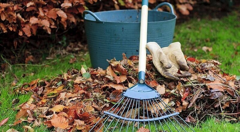 Сезонные работы в саду в октябре: чем заняться?
