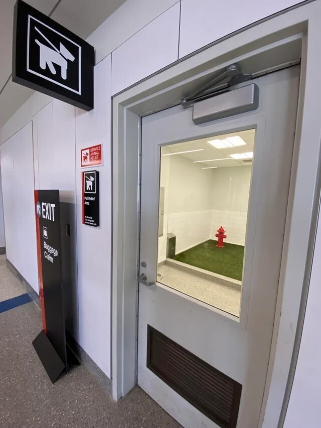 В бостонском международном аэропорту Логан есть газон для собак  