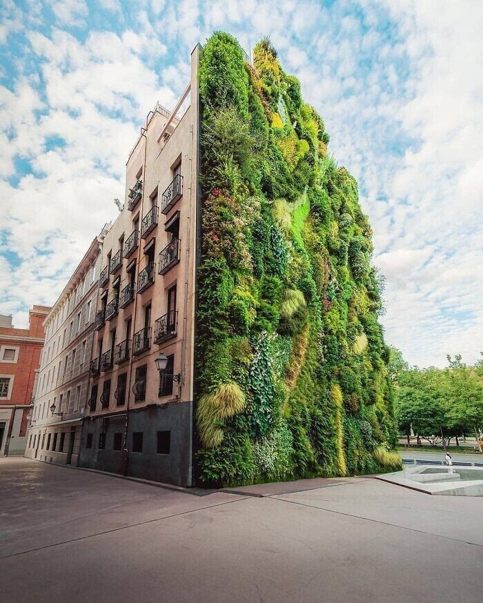 2. Вертикальный сад в Мадриде, Испания.