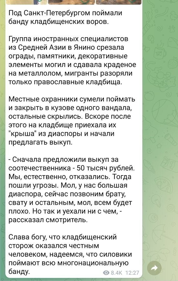 Ни дня без новостей о мигрантах!  добрых, честных и не пьющих...