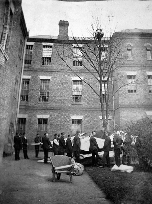 Работники психбольницы ждут, когда пациент спустится с дерева, Лондон, 1895 год