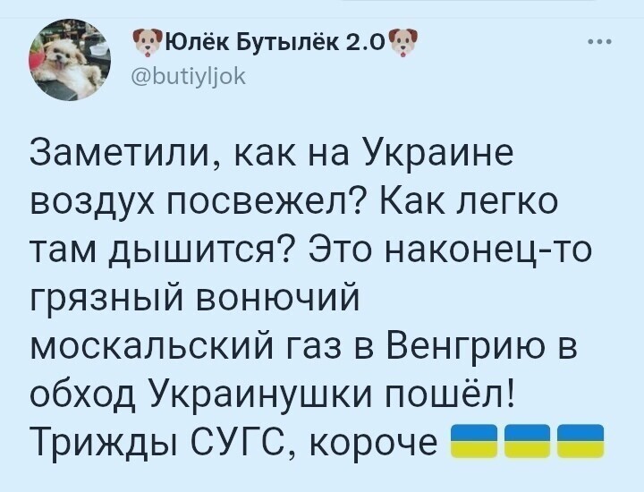 О политике и только