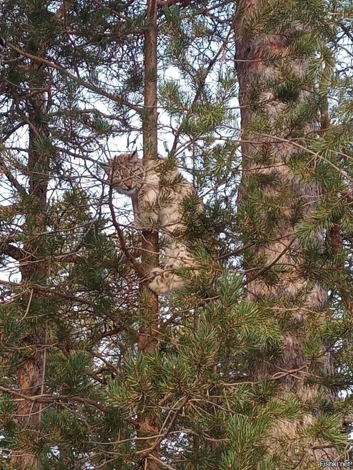 -Ты не должен был меня увидеть