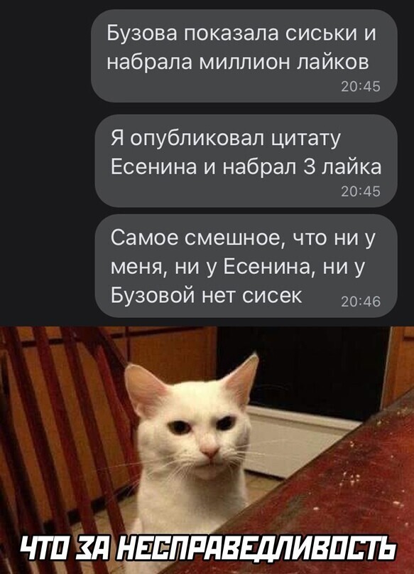 Вечерние картинки понедельника