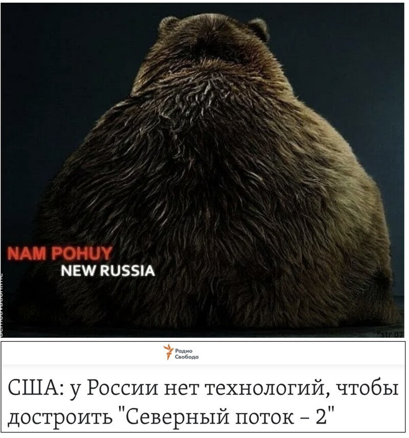 Началось заполнение газом первой нитки газопровода «Северный поток — 2»