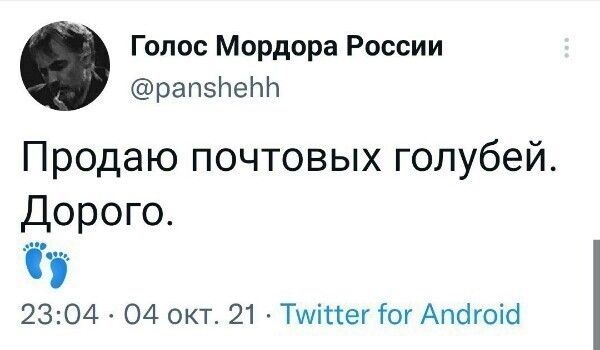 О политике и только