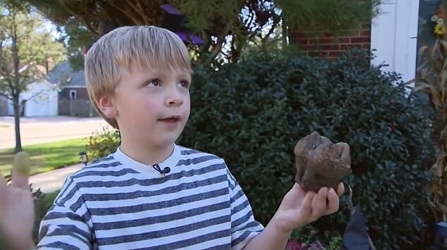 6-летний мальчик нашел гигантский зуб мастодонта: находке около 12 000 лет